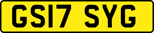 GS17SYG