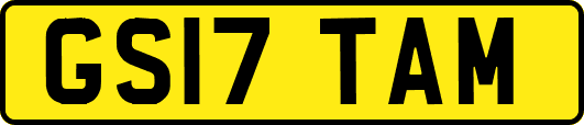 GS17TAM