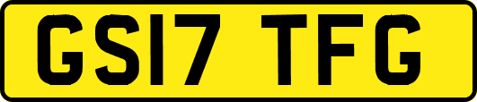 GS17TFG