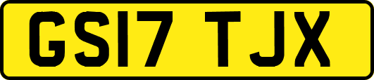 GS17TJX