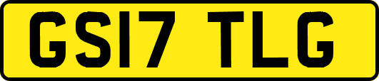 GS17TLG