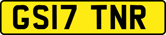 GS17TNR