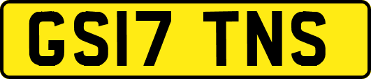 GS17TNS