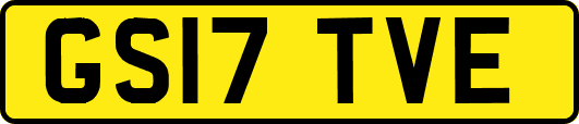GS17TVE