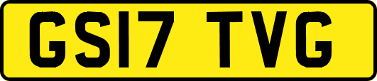 GS17TVG