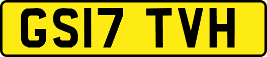 GS17TVH