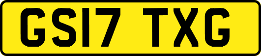 GS17TXG