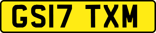 GS17TXM