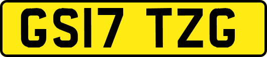 GS17TZG