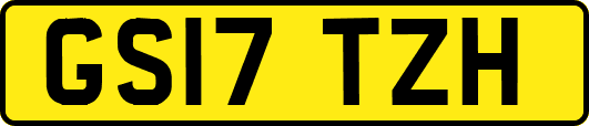 GS17TZH