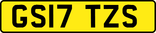 GS17TZS
