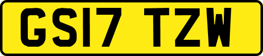 GS17TZW