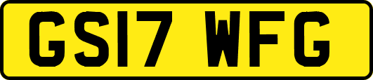 GS17WFG