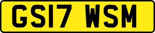 GS17WSM