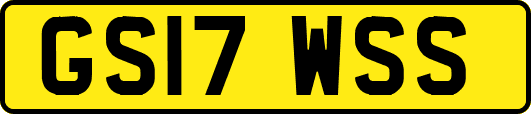 GS17WSS