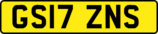 GS17ZNS