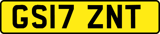 GS17ZNT