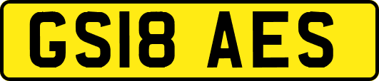 GS18AES