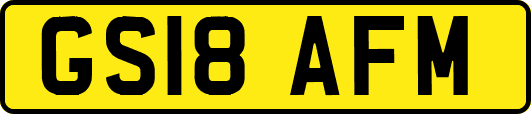 GS18AFM