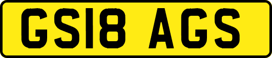 GS18AGS