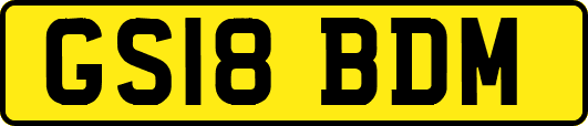 GS18BDM