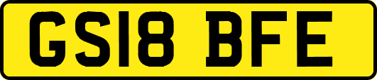 GS18BFE