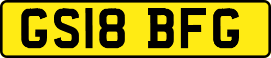 GS18BFG