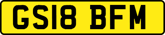GS18BFM