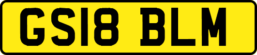 GS18BLM