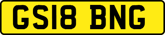GS18BNG