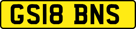 GS18BNS