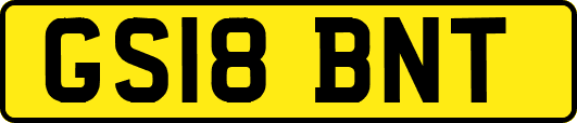 GS18BNT