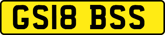GS18BSS