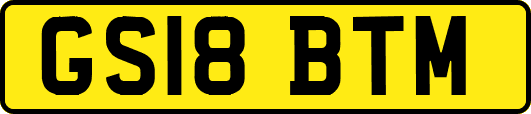 GS18BTM