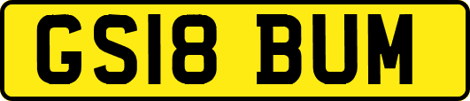 GS18BUM