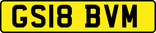 GS18BVM