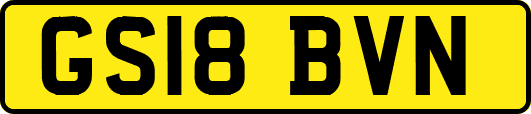 GS18BVN