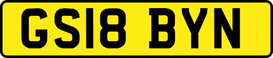 GS18BYN