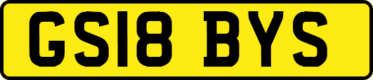 GS18BYS