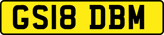 GS18DBM