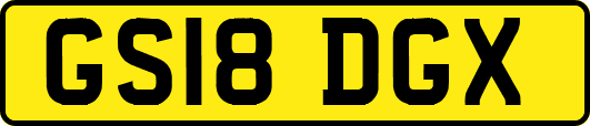 GS18DGX