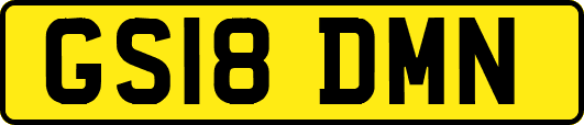 GS18DMN