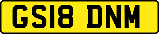 GS18DNM