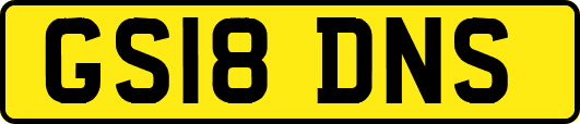 GS18DNS