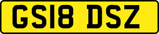 GS18DSZ