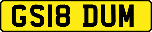 GS18DUM