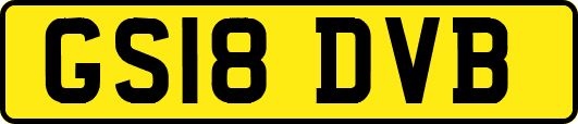 GS18DVB