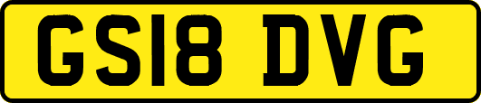 GS18DVG