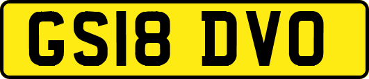 GS18DVO