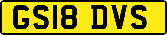 GS18DVS